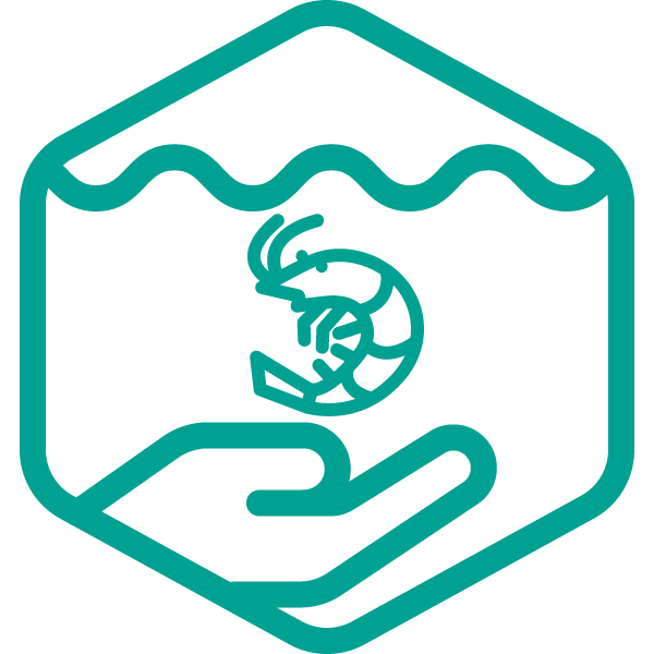Shrimp hub welfare icon, with hand hold shrimp in pond.