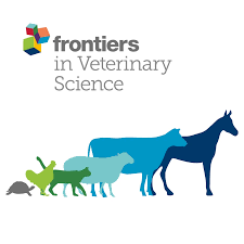 The image shows the logo for Frontiers in Veterinary Science. At the top left, there is a colourful geometric design made of cubes in green, blue, red, and yellow. Below it, the text reads: frontiers in Veterinary Science.