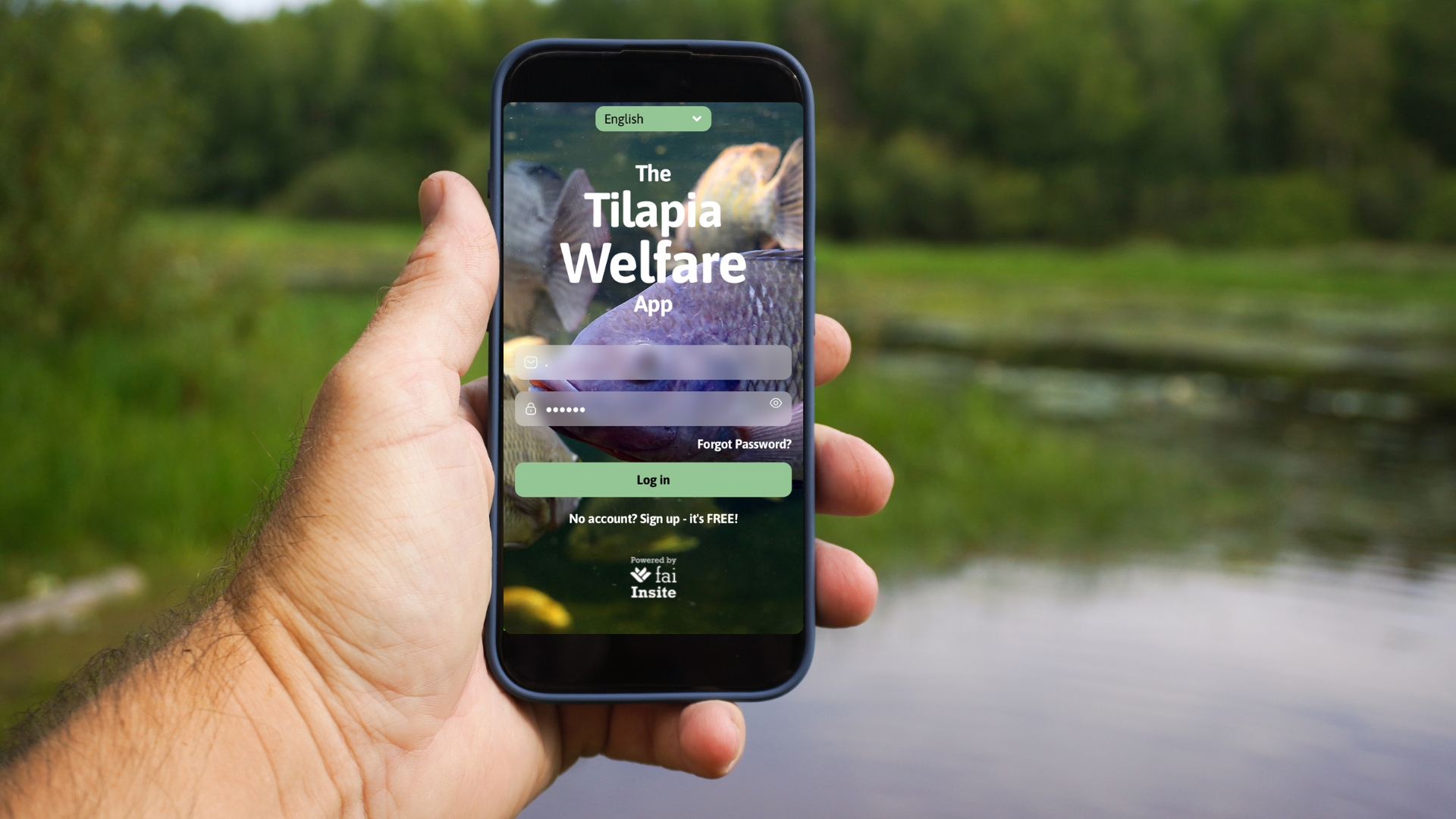 Tilapia Farmer holding a smartphone displaying the FAI Tilapia Welfare App login screen, with fields for email address and password, and a green 'Log in' button